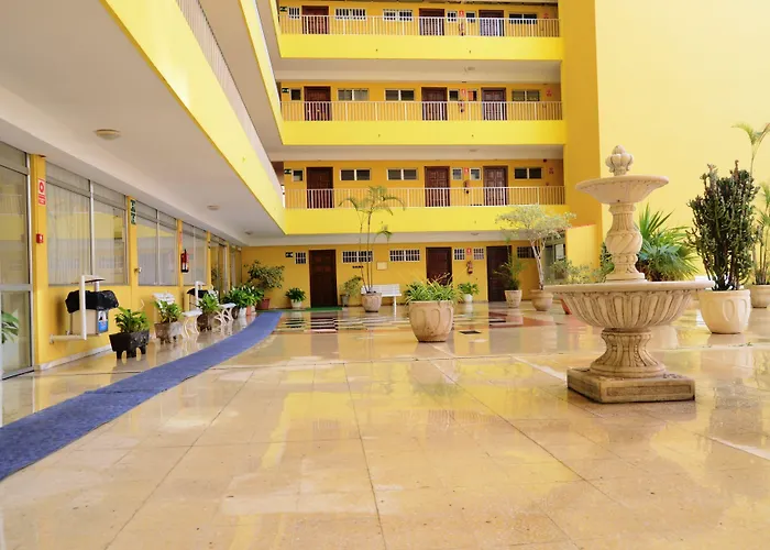 Elegance Palmeras Playa